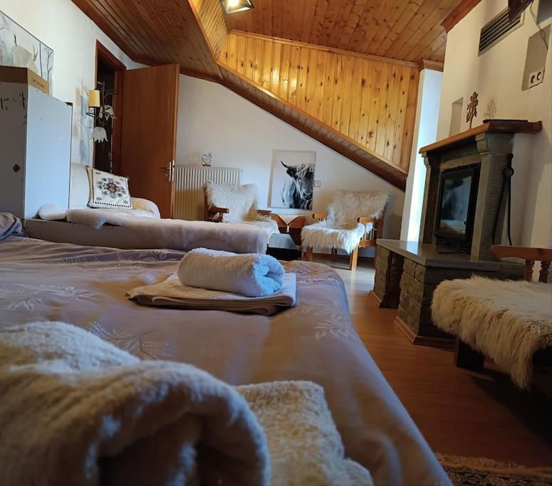 Cozy Loft With Fireplace & View Metsovo Zewnętrze zdjęcie
